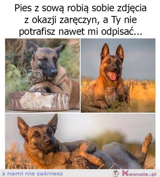 TAKŻE MOŻE ODPISZESZ W KOŃCU