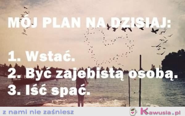 Ambitny plan na dziś