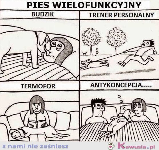 Pies wielofunkcyjny