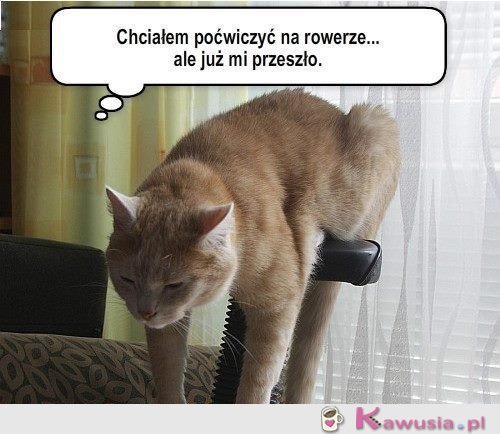 Trening...