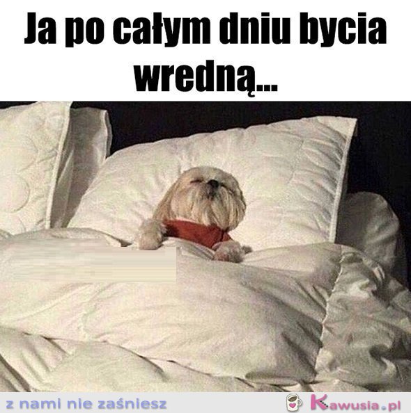 Nie żałuję niczego...