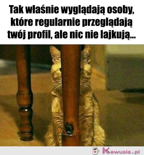 Po co być takim wstydliwym...