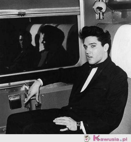   Elvis