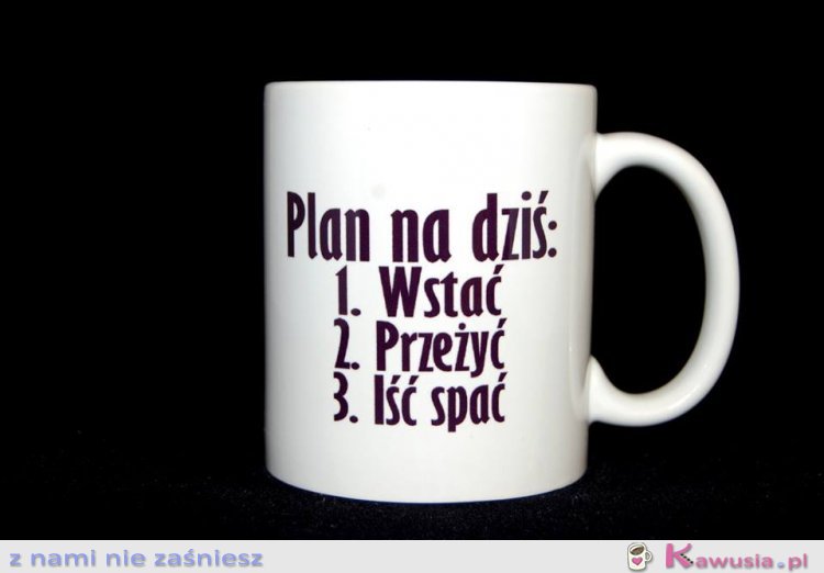 PLAN NA DZIŚ 1.Wstać 2.Przeżyć 3.Iść spać