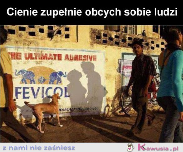 FAJNIE UŁOŻONE