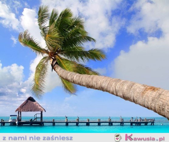 Chcę tam na wakacje