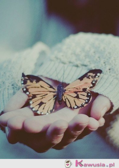 Chwile są ulotne- ciesz się każdą z nich