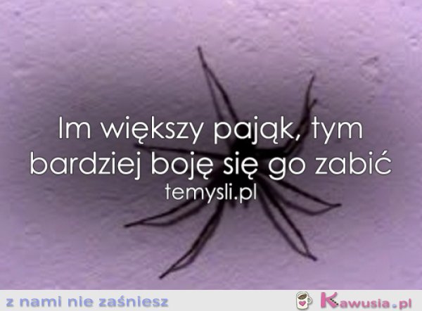 Im większy pająk...