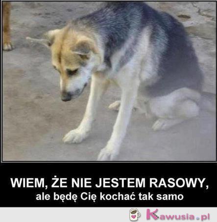 Będę kochać Cię tak samo