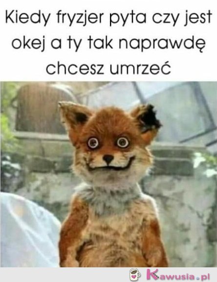 Niech mnie ktoś zabije...