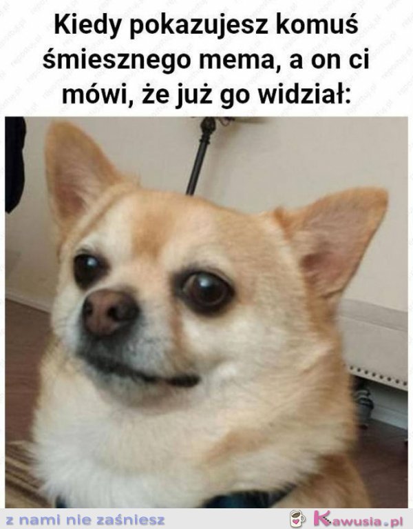 Kiedy pokazujesz komuś mema