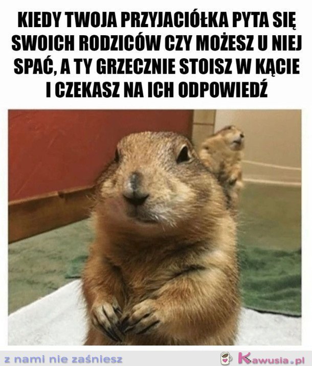 ZA KAŻDYM RAZEM