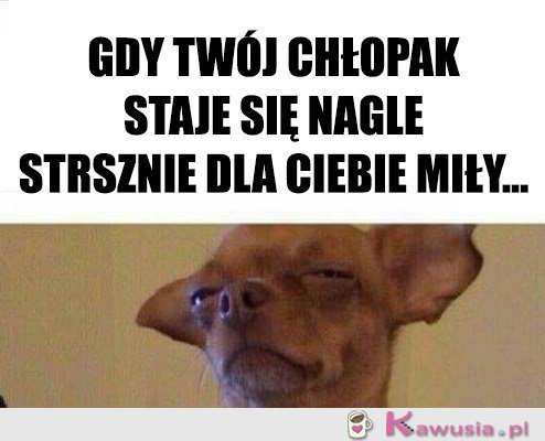 Ciekawe co chce...