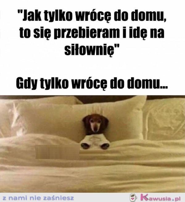 Chęci były i to się liczy...