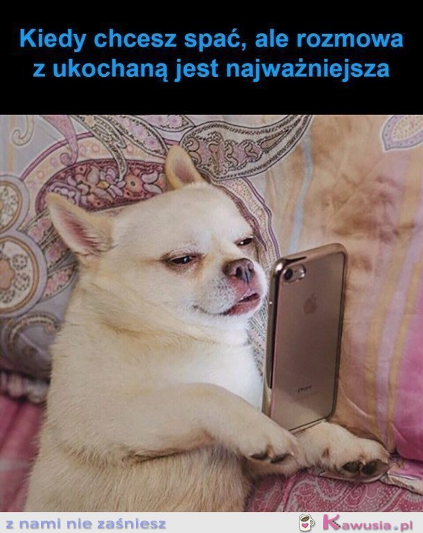 NIE MA ŻE BOLI