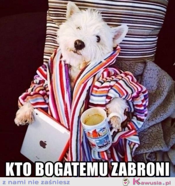 Kto bogatemu zabroni?