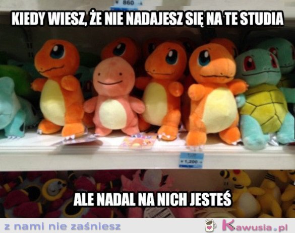 KIEDY WIESZ, ŻE NIE NADAJESZ SIĘ NA TE STUDIA