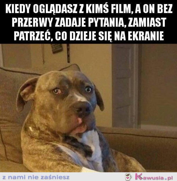 Filmy lubię oglądać sama