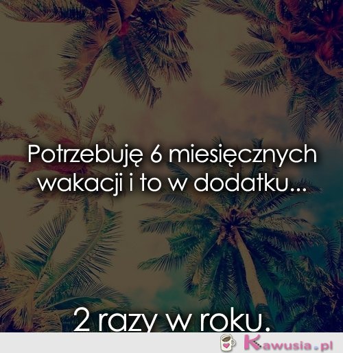 Potrzebuję 6 miesięcznych wakacji