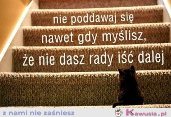 Nie poddawaj się!