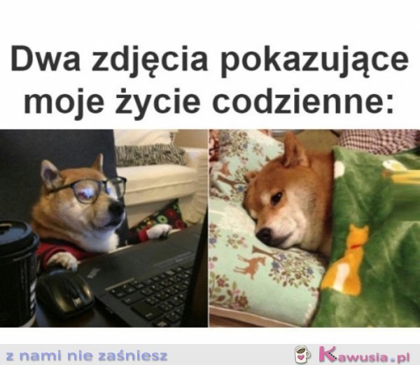 Dwa zdjęcia pokazujące moje życie