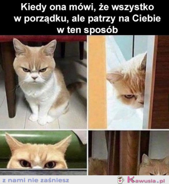 KOBIETY TAKIE SĄ