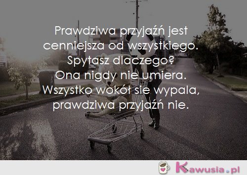 Prawdziwa przyjaźń