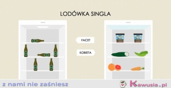 Lodówka singla: facet vs kobieta