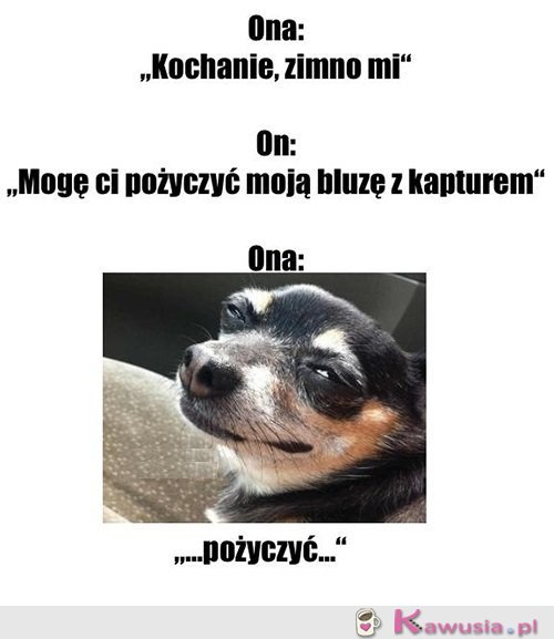 Już jej nie odzyskasz...