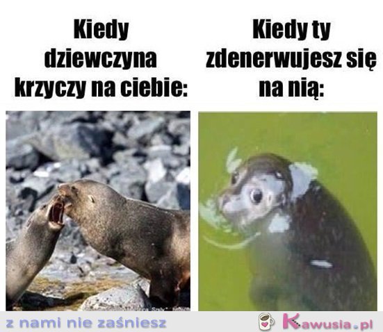 Ale co się stało...