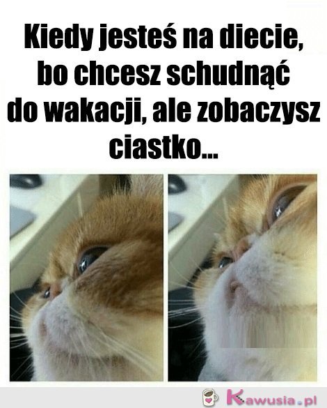 Diety takie są