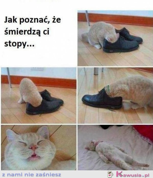 Jak poznać, że śmierdzą ci stopy