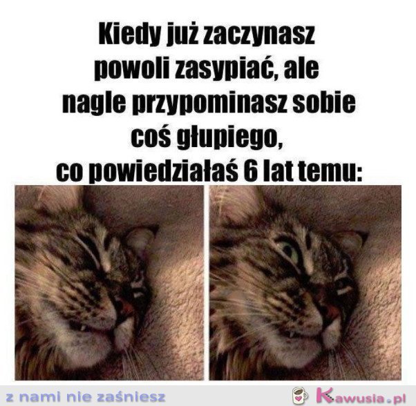 MOMENT PRZED ZAŚNIĘCIEM