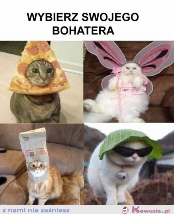 Wybierz swojego bohatera