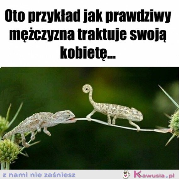 Patrzcie i uczcie się Panowie...