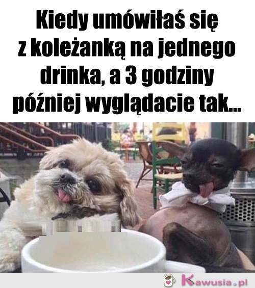 Tak jakoś wyszło...