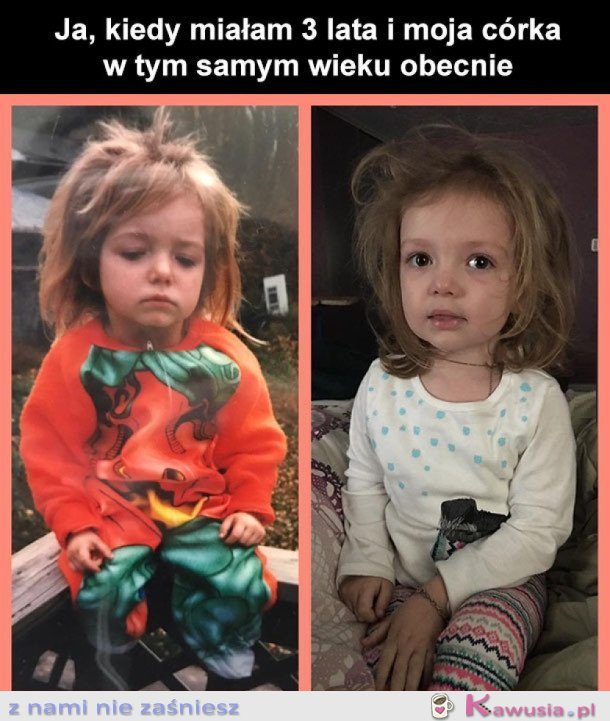 KOPIUJ WKLEJ