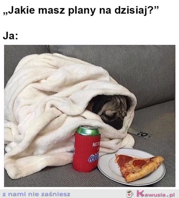 MOJE PLANY NA ŻYCIE