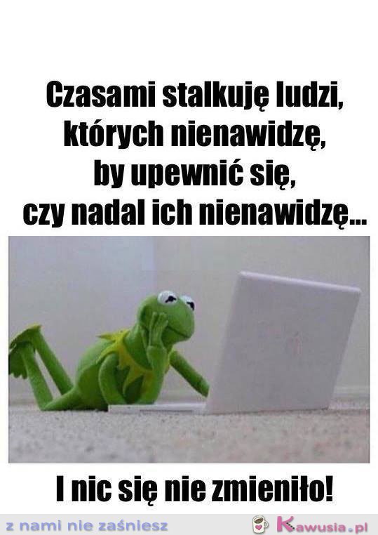 I nic się nie zmieniło