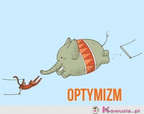 Optymizm