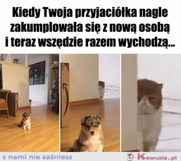 Jeszcze zobaczymy...