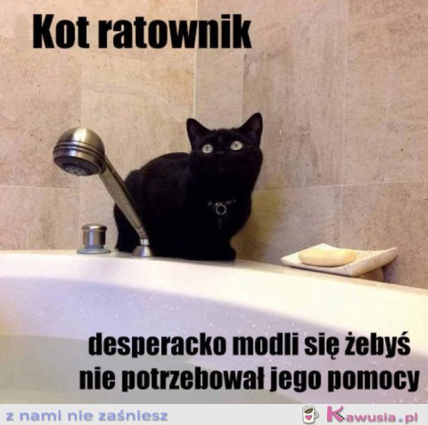 KOT RATOWNIK