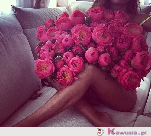 Bukiet, tym razem piwonii