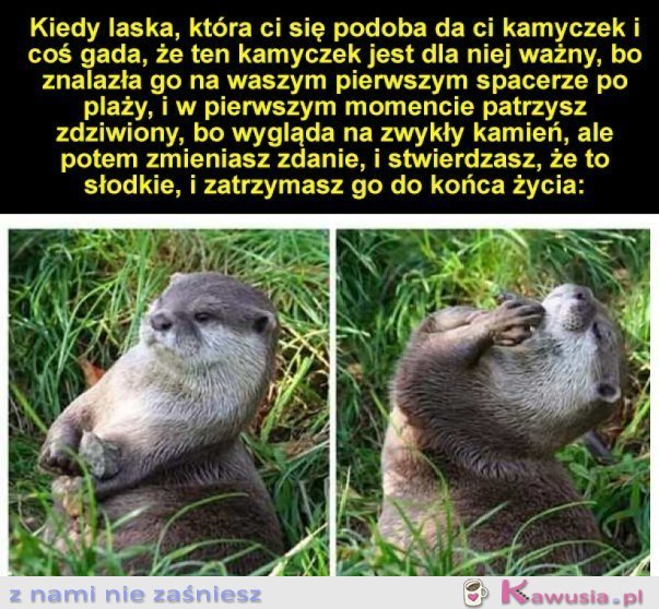 KAMYCZEK