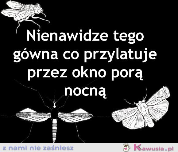 Nienawidzę