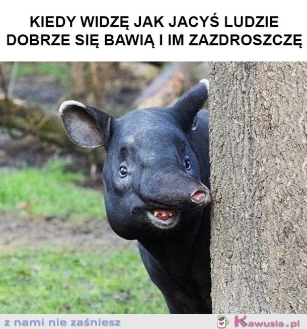 MOJE ŻYCIE W PIGUŁCE