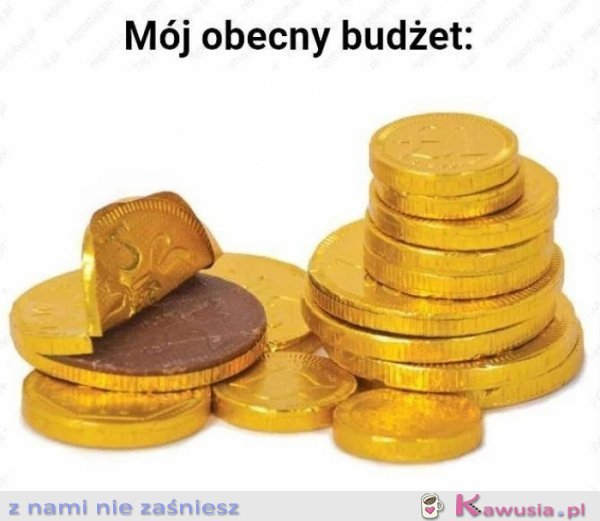 Mój obecny budżet