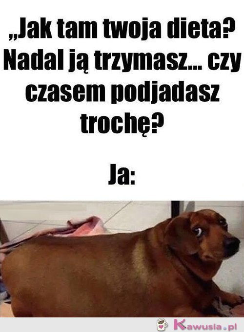 Żartujesz?