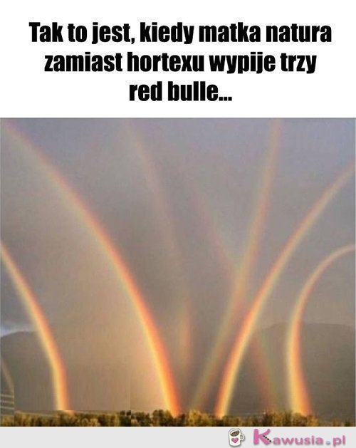 Tak to się kończy..