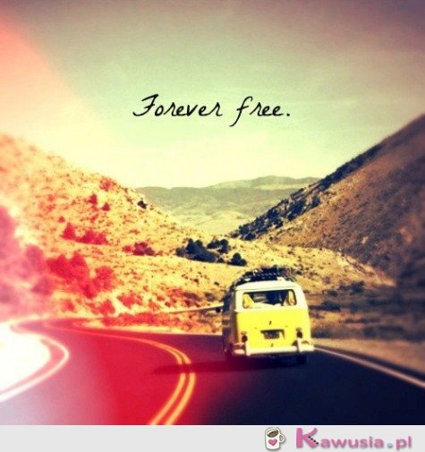 Forever free